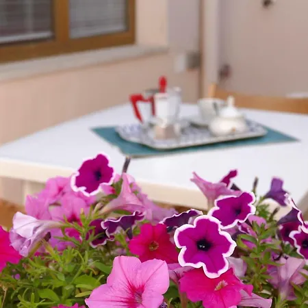 公寓 Casa Gardenia 2 普雷西切